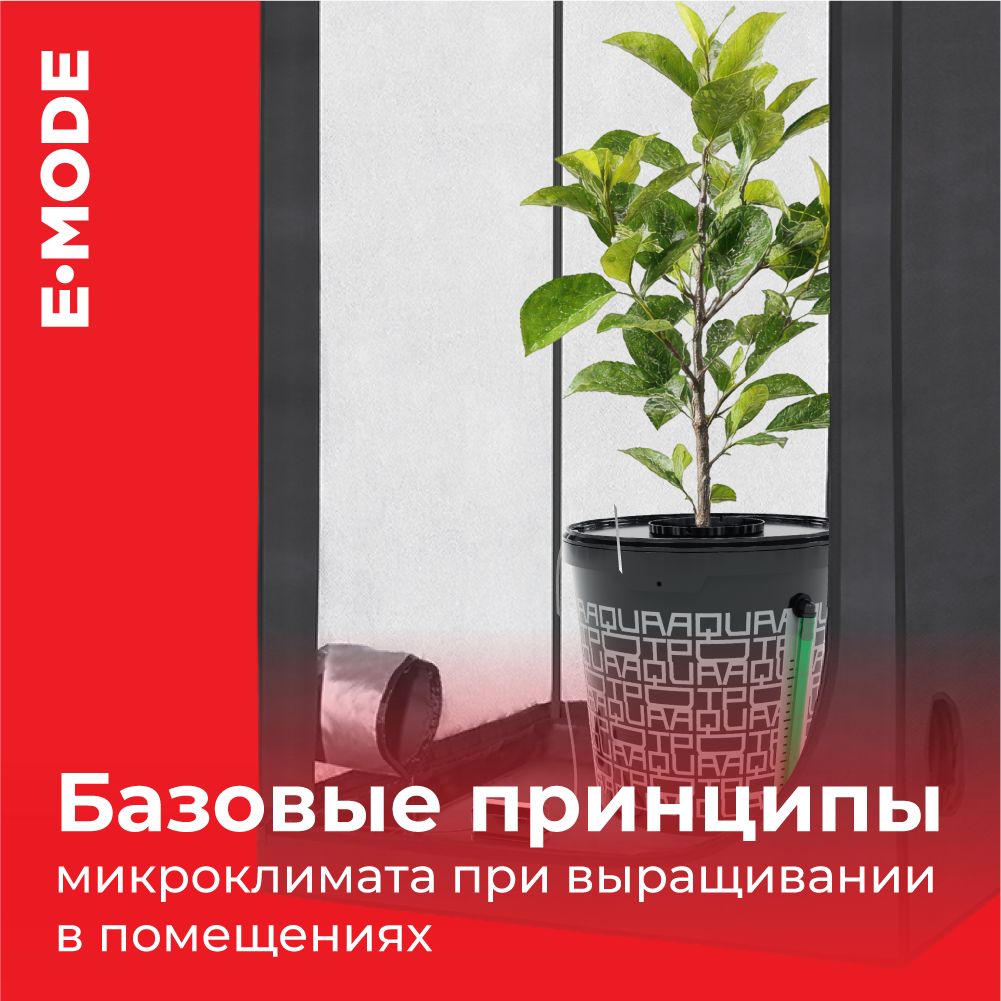 Базовые принципы микроклимата при выращивании в помещениях