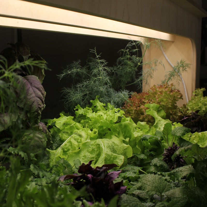 Домашняя система выращивания Бионика ЭКО