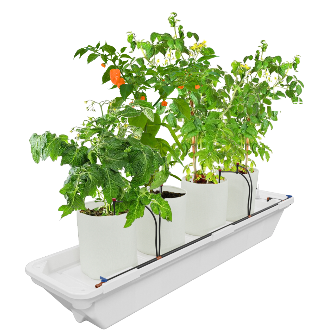 Практика 180 Система выращивания (капельный полив / Ebb&Flow), 70 л, 4+ растения