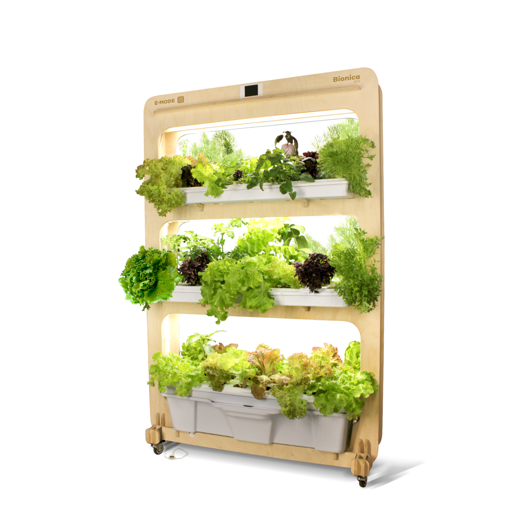 Домашняя система выращивания Бионика ЭКО