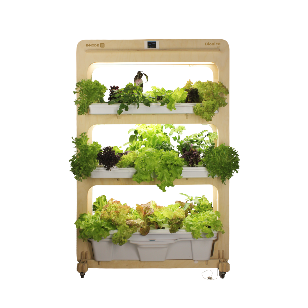 Домашняя система выращивания Бионика ЭКО