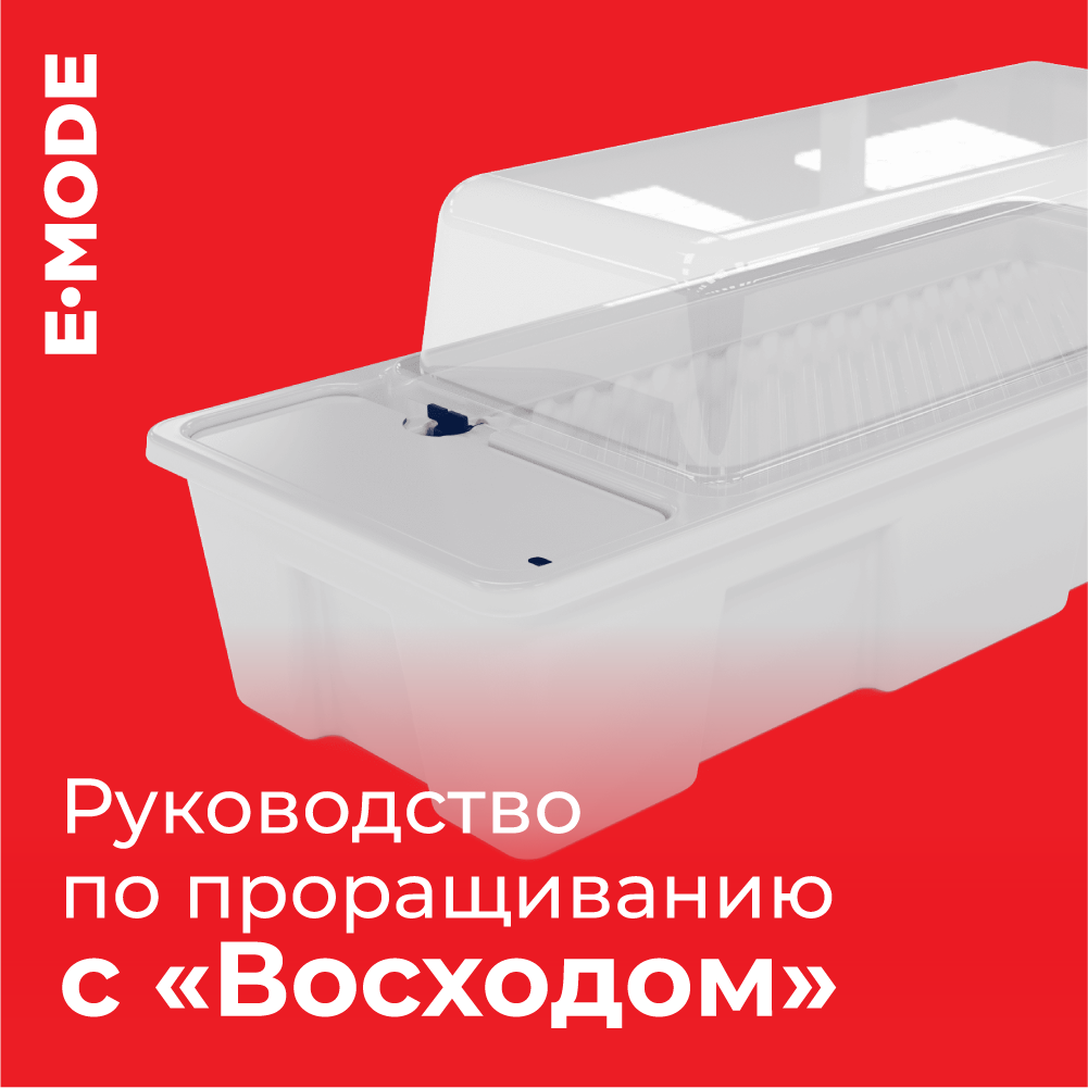 Руководство по проращиванию и укоренению с системой «Восход»: от семечка к мощному ростку