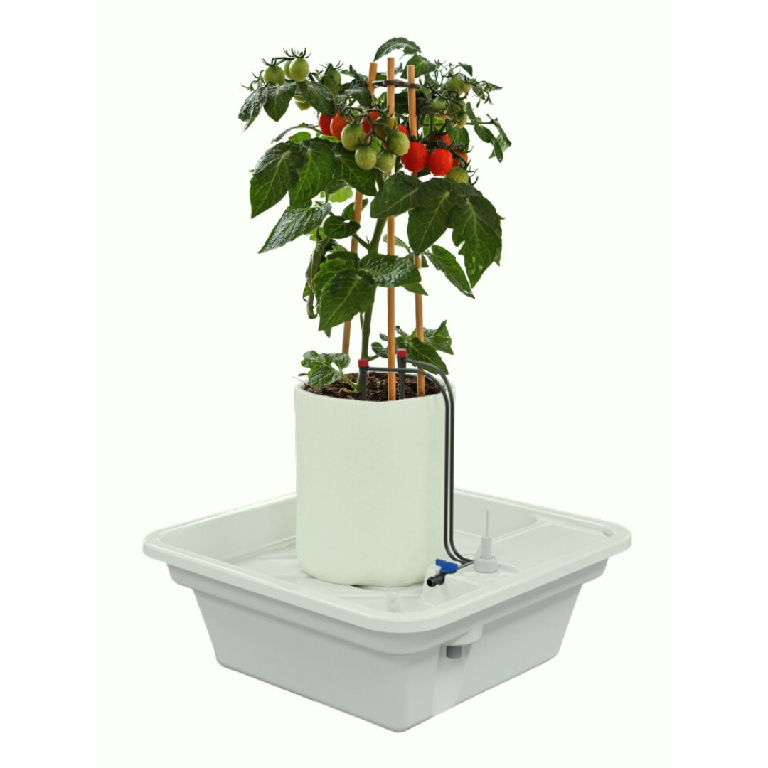 Практика 60 Система выращивания (капельный полив / Ebb&Flow), 20 л, 1+ растения