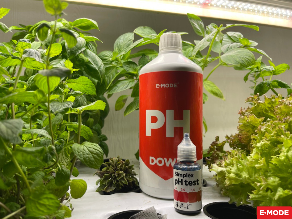 E-mode, статьи для блога_10.png