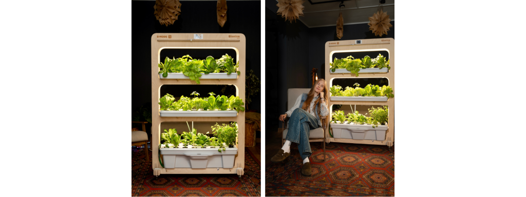 E-mode, статьи для блога (9).png