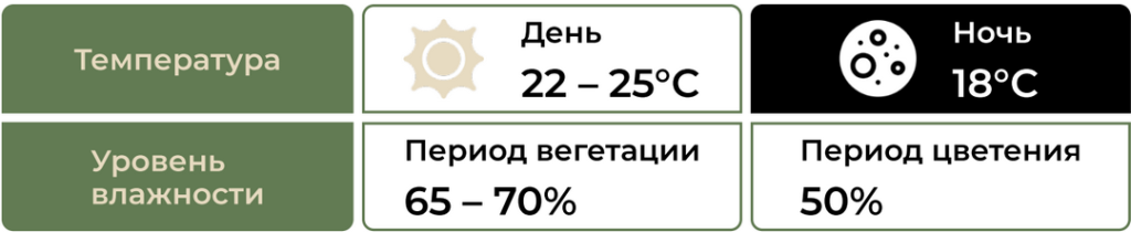 E-mode, статьи для блога_15.png