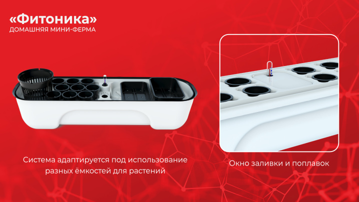 blog_EMODE_Фитоника_3.jpg