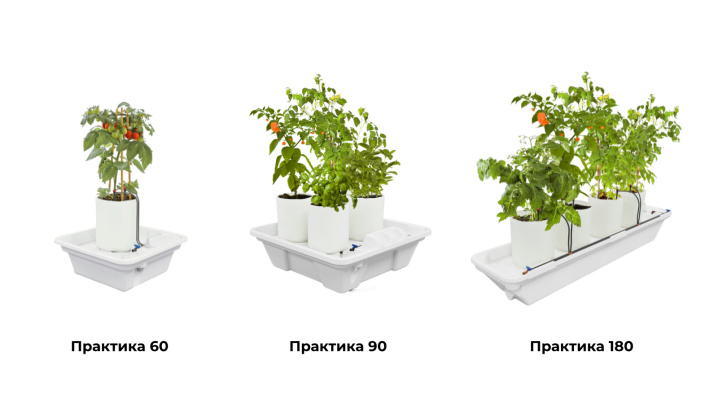 Практика_60-90-180 (2).jpg Практика_60-90-180 (2).jpg