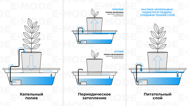 Практика_3-принципа-полива (3).jpg Практика_3-принципа-полива (3).jpg