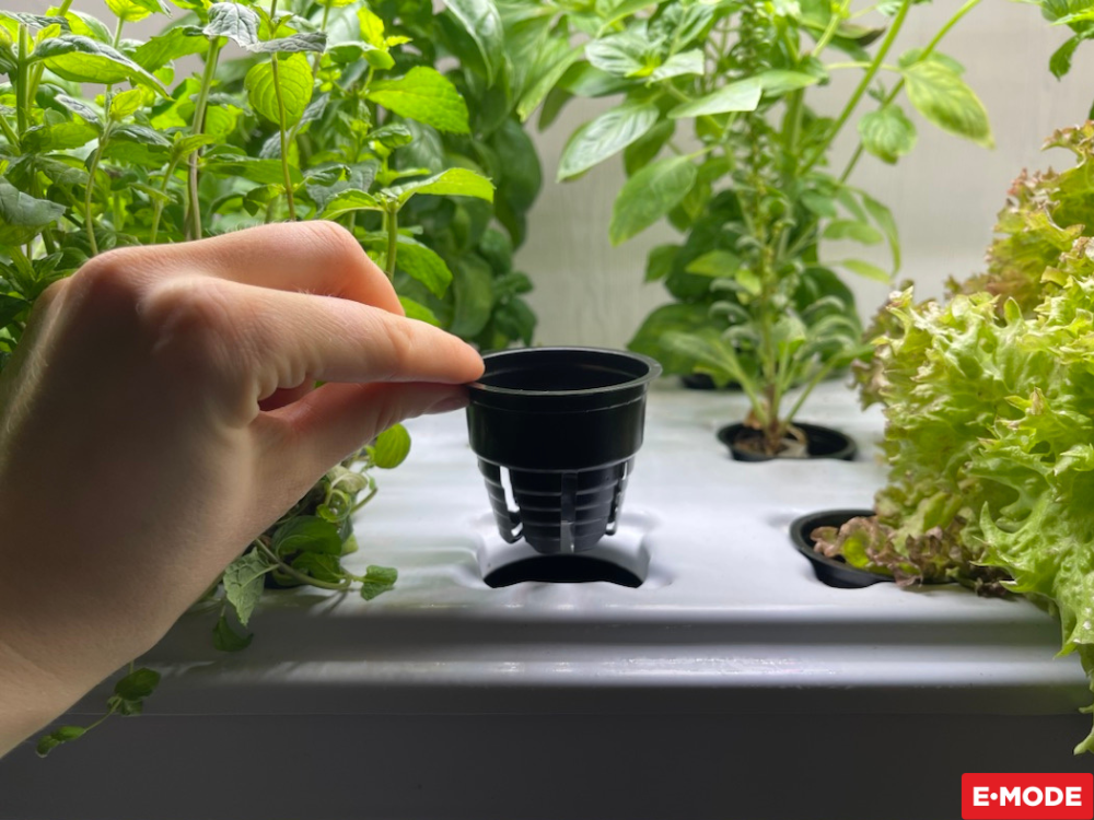 E-mode, статьи для блога_3.png