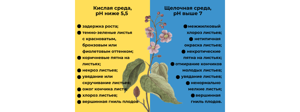 E-mode, статьи для блога (2).png