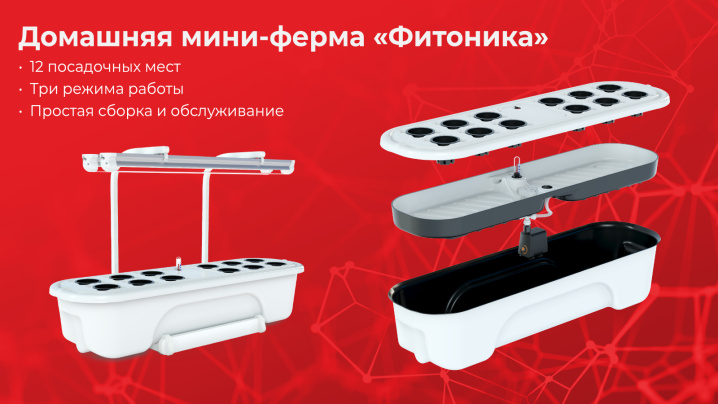blog_EMODE_Фитоника_2.jpg