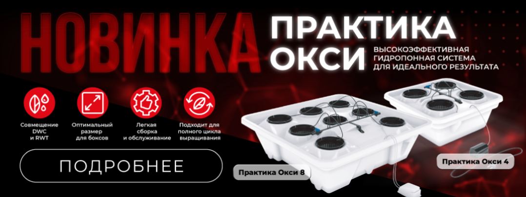 Практика ОКСИ