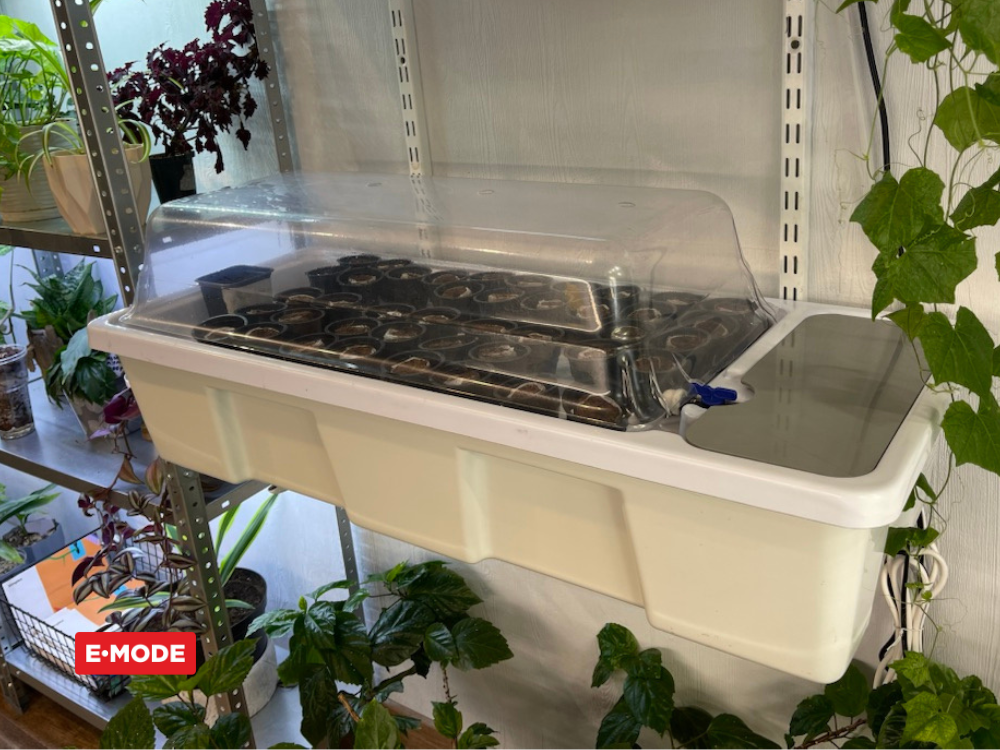 E-mode, статьи для блога (9).png