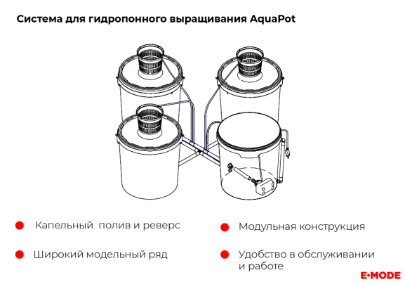 il5 (2).jpg