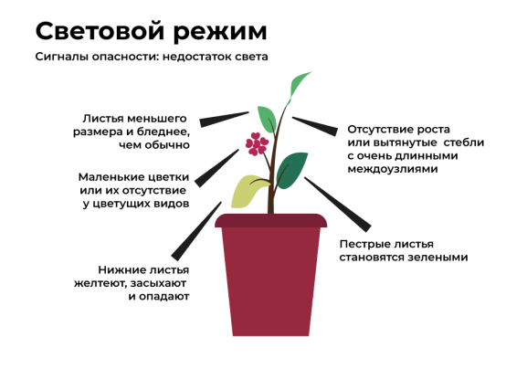 микроклимат_3.png